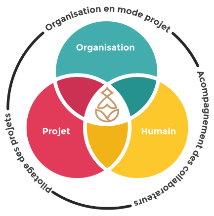 Impletio Conseil, Cabinet de conseil en management de projet dans l'Aube