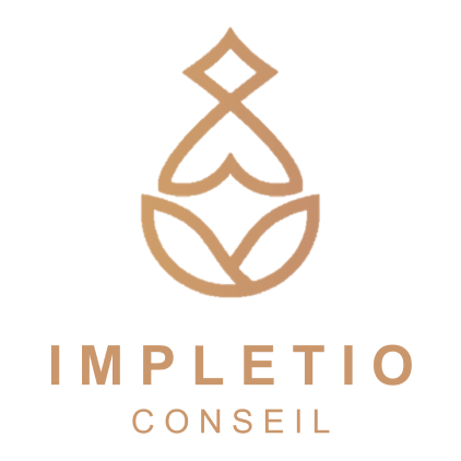 Impletio Conseil, Cabinet de conseil en management de projet dans l'Aube
